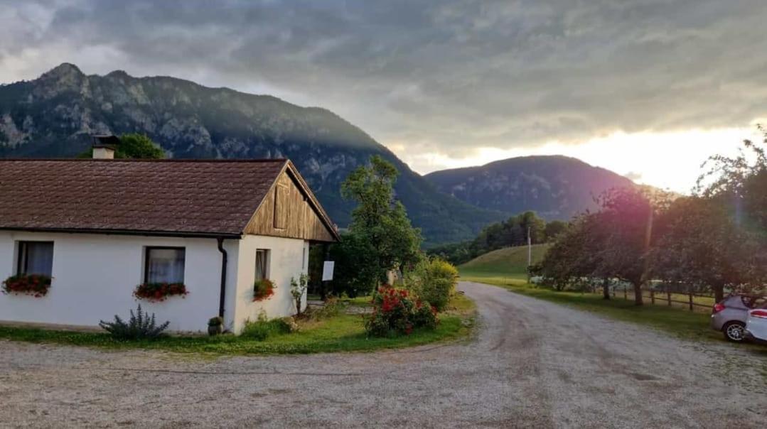 Leo-Hof Apartment Hirschwang Bagian luar foto